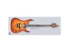 ESP LTD H 1000 Deluxe