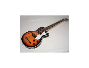 Ktone 8-String Hollowbody Bass