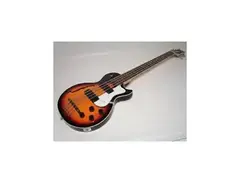 Ktone 8-String Hollowbody Bass main image