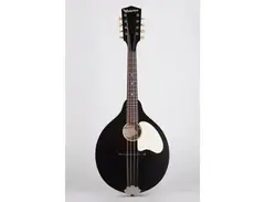 Waterloo WL-M Mandolin main image