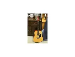 Brunswick BNT104-N Acoustic Guitar main image