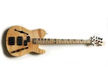 Custom built Druzkowski bass