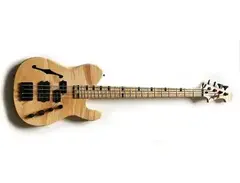 Custom built Druzkowski bass main image