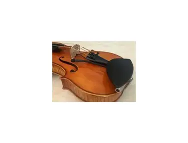 Ithaca Stringed Instruments Dual Pickup/Mic System