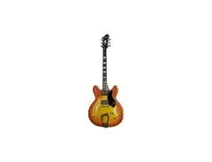 Hagström Viking Deluxe AM Electric Guitar