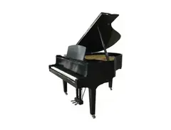 Yamaha GH1