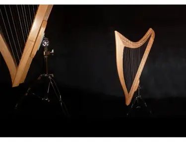 Philippe Volant Haelera (61 Strings)