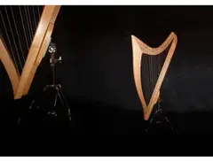 Philippe Volant Haelera (61 Strings) main image