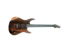Washburn RX 80 main image