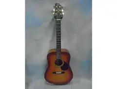 Samick Greg Bennett D1 BS main image