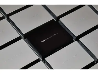 Spitfire Audio  BBC Symphony Orchestra Professional SSD library