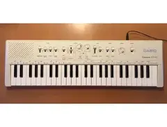 Casio Casiotone MT-60 main image