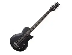 Schecter DP-12 Doug Pinnick Signature 12-String Bass