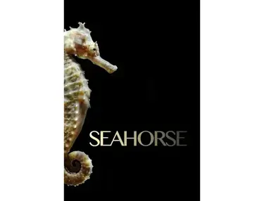 Seahorse