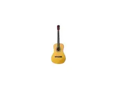 Herald Acoustic guitar main image