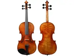 Holstein Workshop Soil Stradivarius main image