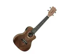 Tanglewood TWT21E Concert main image