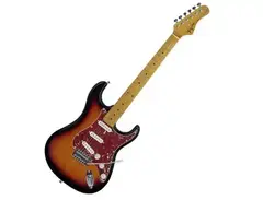 Tagima TG-530