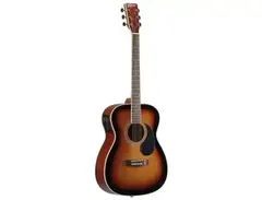 Tagima Montana Electroacoustic | Sunburst