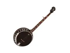 Barnes & Mullins BJ400E Rathbone 5 String Electric Banjo main image