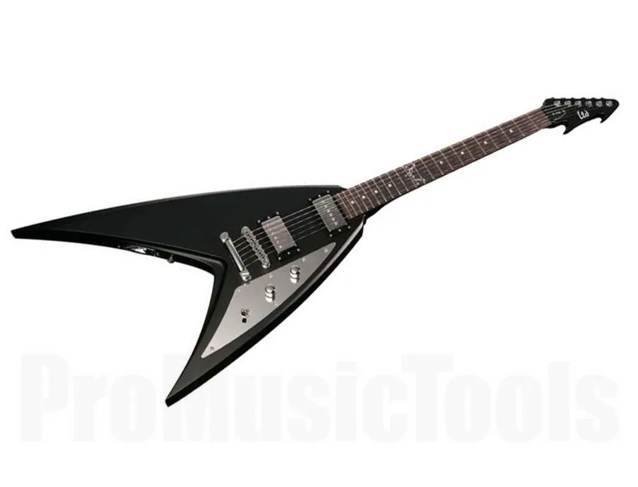 ESP LTD GL-600V George Lynch Signature - What To Know & Where To