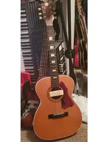 Silvertone s1212