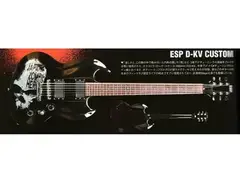 ESP D-KV Custom main image