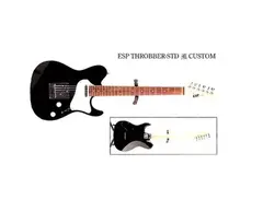 ESP Throbber-STD custom Kaoru main image
