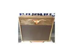Longhorn Amps Texas Tru Tone (1x12 Combo)