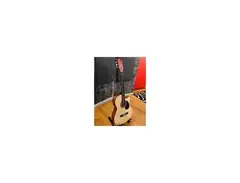RJ Guitars Acoustic Guitar main image
