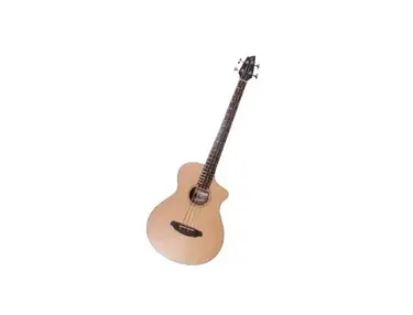 Breedlove Passport Bass