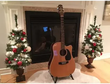 Takamine EF360C
