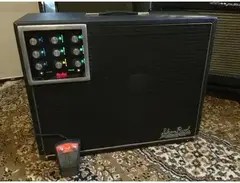 Sho-Bud Custom "Christmas Tree" Amp main image