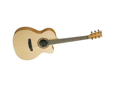 Martin XC1T Acoustic Guitar