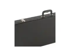 Road Runner Guitar Case main image