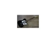 Squier Eddie Vedder Tribute Telecaster main image