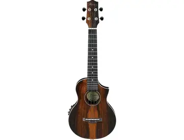 Ibanez UEW13MEE
