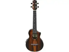 Ibanez UEW13MEE main image
