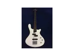 Washburn Taurus T-14 main image