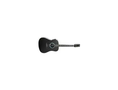 Rainsong DR1000