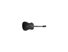 Rainsong DR1000 main image