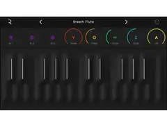 Roli Seaboard 5D main image