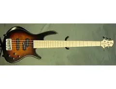 Roscoe Century Standard Plus 5J main image