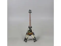 Washburn WV16 G11 main image
