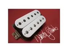 MAMA Pickups DANIELE GOTTARDO SIGNATURE MODEL