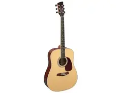 Brunswick BD-200 main image