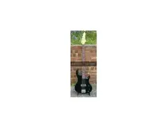 Aria Pro II Fretless main image