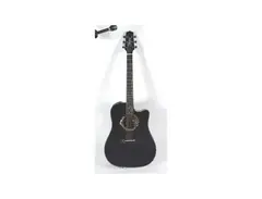 Takamine LTD 2007 “The Storm” main image