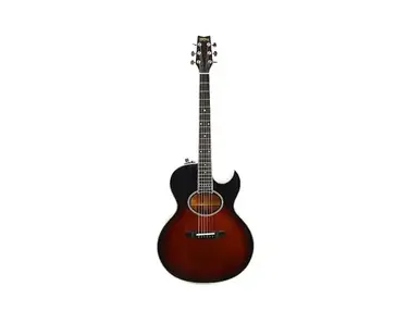 Washburn Acoustic Plugin Guitar