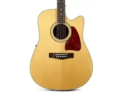 Ibanez AW-100-ECE main image